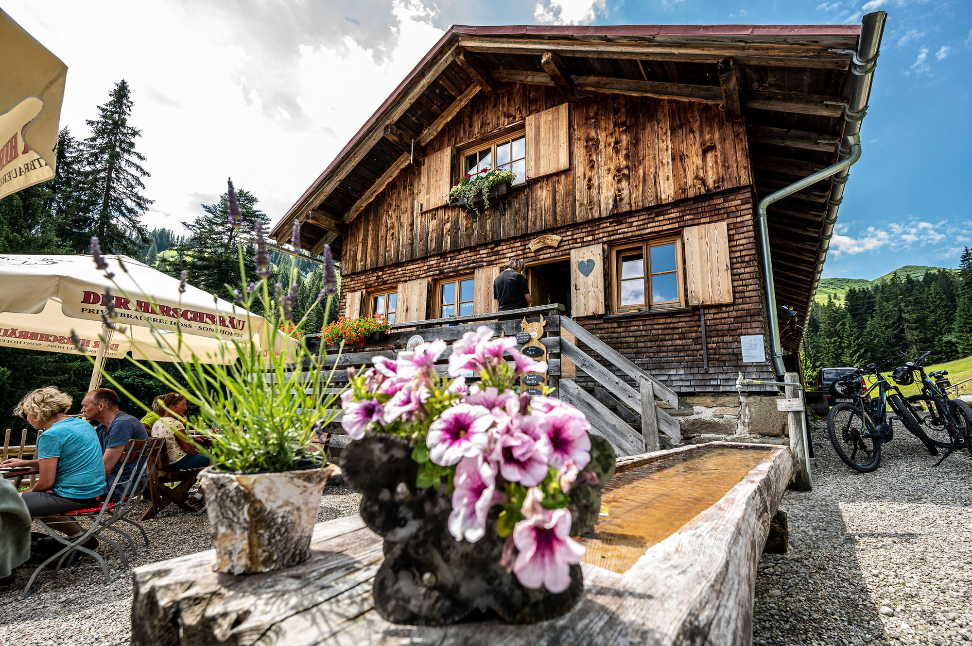 Alpe Bolgen